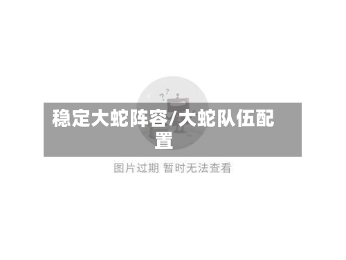 稳定大蛇阵容/大蛇队伍配置