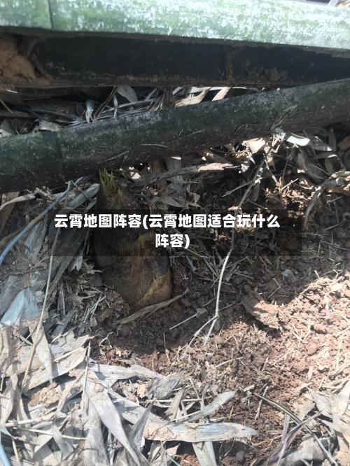 云霄地图阵容(云霄地图适合玩什么阵容)