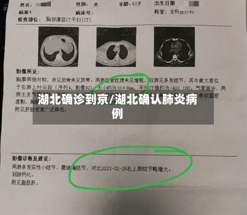 湖北确诊到京/湖北确认肺炎病例