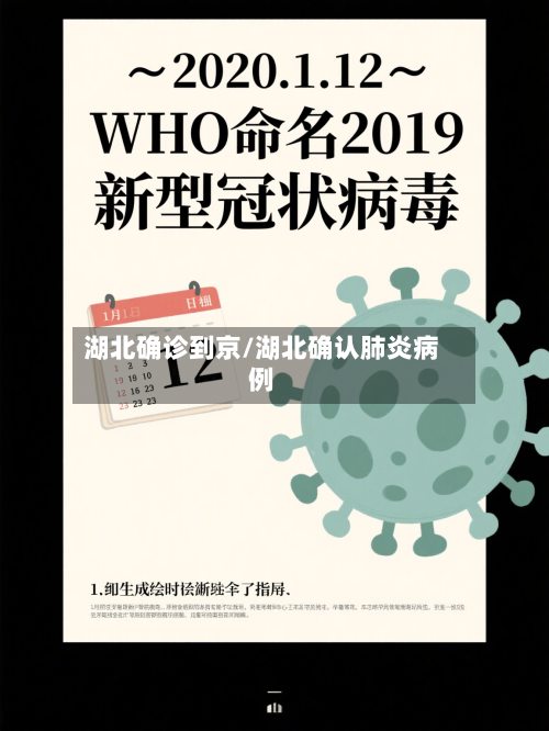 湖北确诊到京/湖北确认肺炎病例