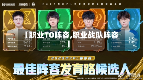 【职业TO阵容,职业战队阵容】