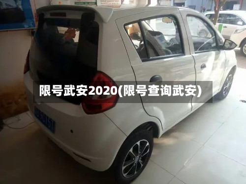限号武安2020(限号查询武安)