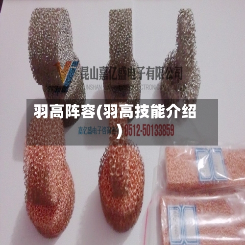 羽高阵容(羽高技能介绍)