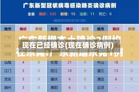 现在已经确诊(现在确诊病例)