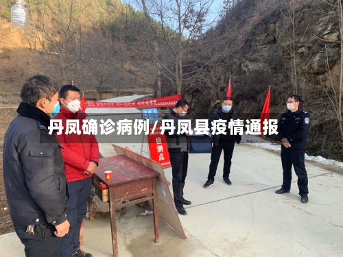 丹凤确诊病例/丹凤县疫情通报