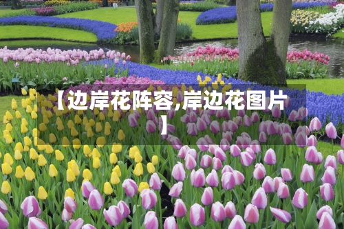 【边岸花阵容,岸边花图片】
