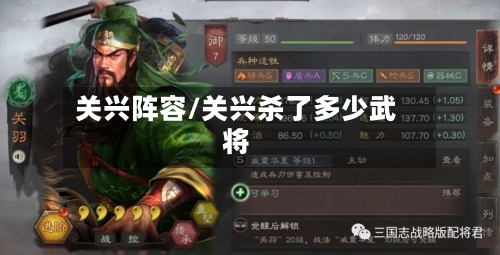 关兴阵容/关兴杀了多少武将