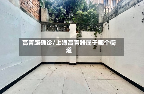 高青路确诊/上海高青路属于哪个街道