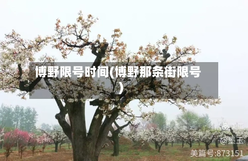 博野限号时间(博野那条街限号)