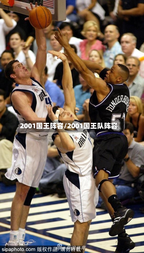 2001国王阵容/2001国王队阵容