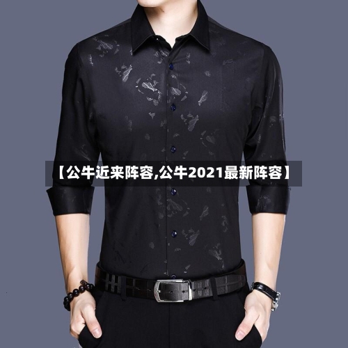 【公牛近来阵容,公牛2021最新阵容】
