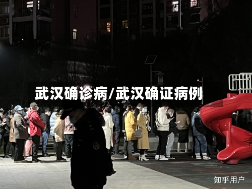 武汉确诊病/武汉确证病例