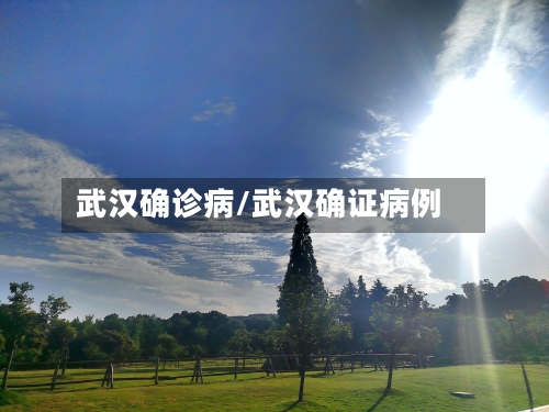 武汉确诊病/武汉确证病例