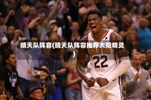 晴天队阵容(晴天队阵容推荐太阳精灵)