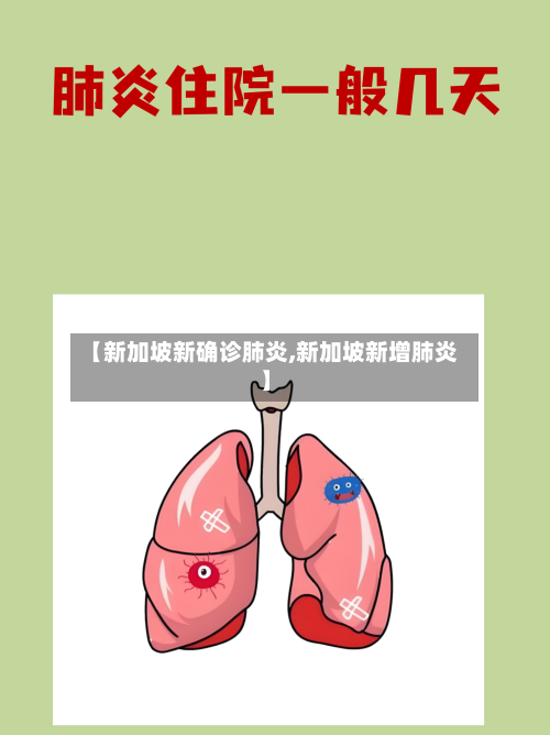 【新加坡新确诊肺炎,新加坡新增肺炎】