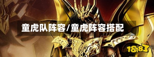 童虎队阵容/童虎阵容搭配