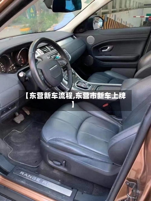 【东营新车流程,东营市新车上牌】