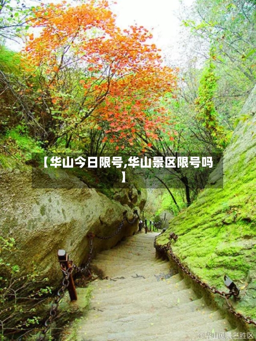 【华山今日限号,华山景区限号吗】