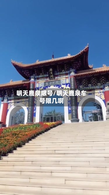 明天鹿泉限号/明天鹿泉车号限几啊