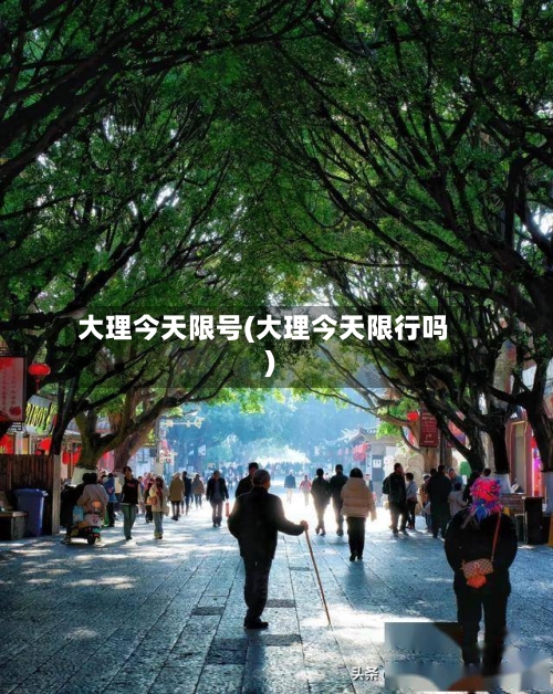 大理今天限号(大理今天限行吗)