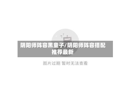阴阳师阵容黑童子/阴阳师阵容搭配推荐最新