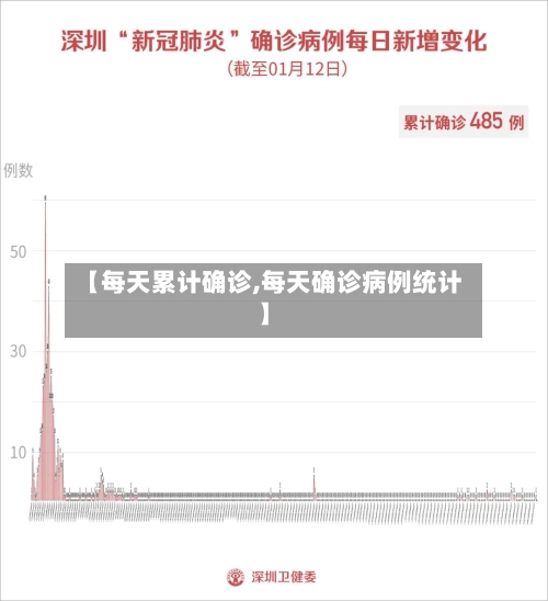 【每天累计确诊,每天确诊病例统计】