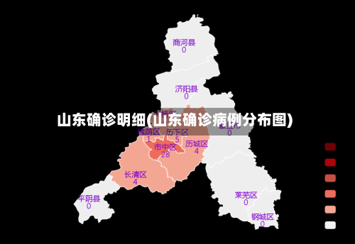 山东确诊明细(山东确诊病例分布图)