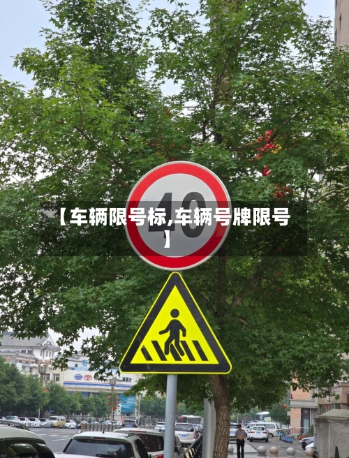 【车辆限号标,车辆号牌限号】