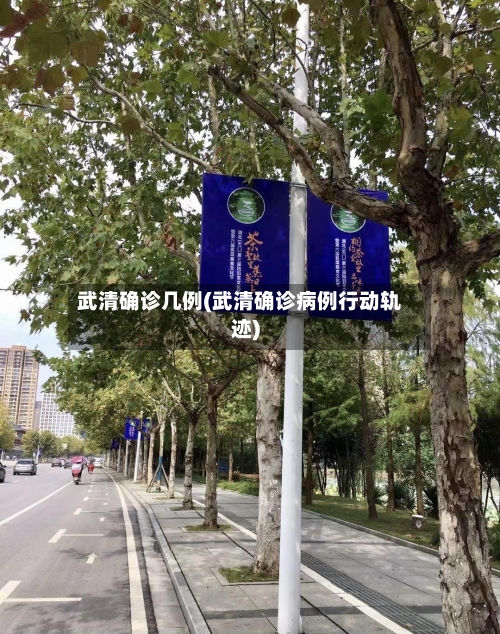 武清确诊几例(武清确诊病例行动轨迹)