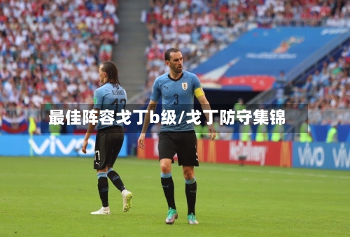 最佳阵容戈丁b级/戈丁防守集锦