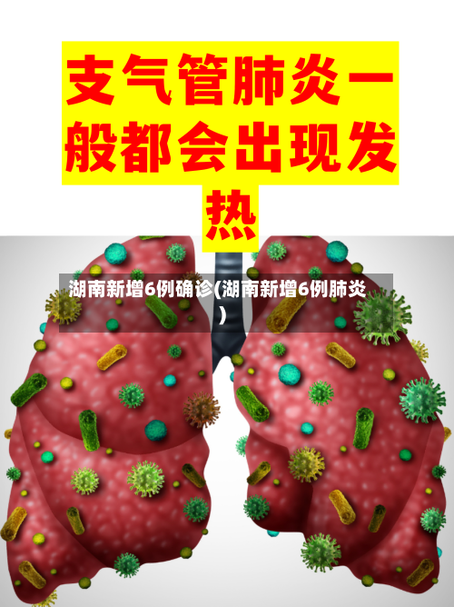 湖南新增6例确诊(湖南新增6例肺炎)