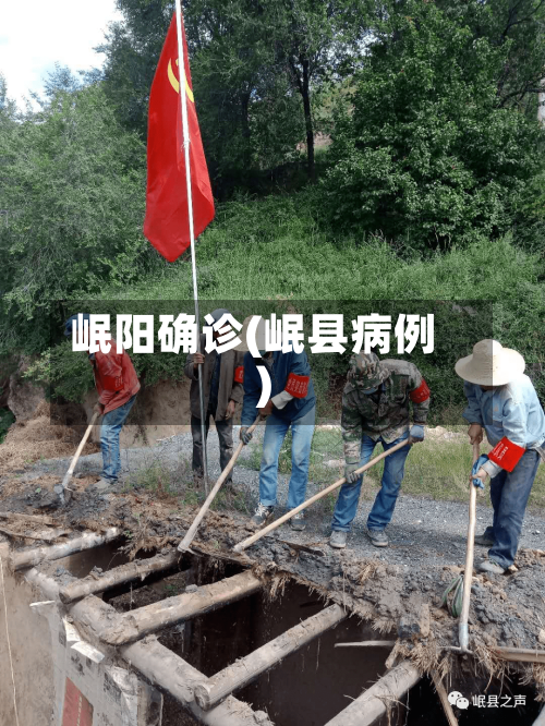 岷阳确诊(岷县病例)