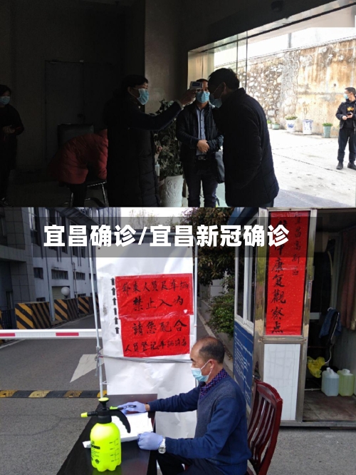 宜昌确诊/宜昌新冠确诊