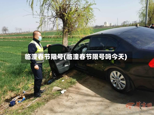 临潼春节限号(临潼春节限号吗今天)