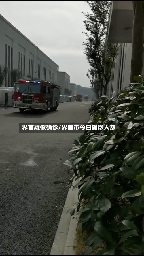 界首疑似确诊/界首市今日确诊人数