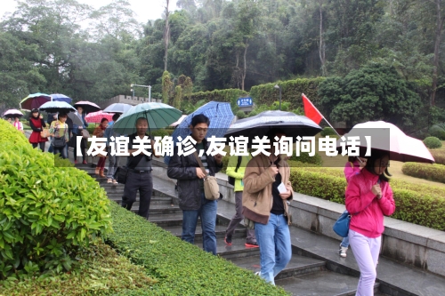 【友谊关确诊,友谊关询问电话】