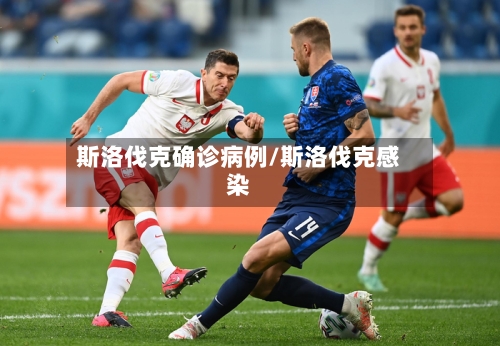 斯洛伐克确诊病例/斯洛伐克感染
