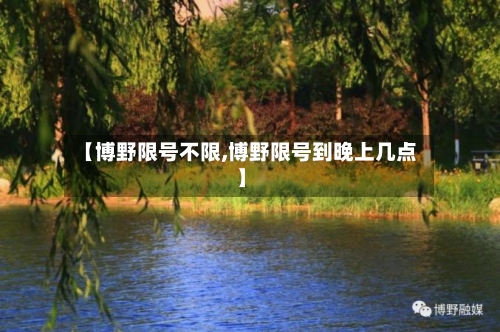 【博野限号不限,博野限号到晚上几点】