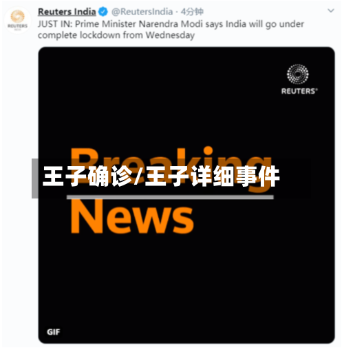 王子确诊/王子详细事件