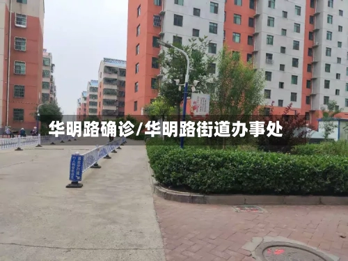 华明路确诊/华明路街道办事处