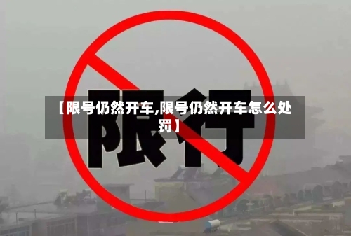 【限号仍然开车,限号仍然开车怎么处罚】