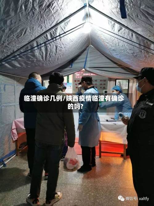 临潼确诊几例/陕西疫情临潼有确诊的吗?