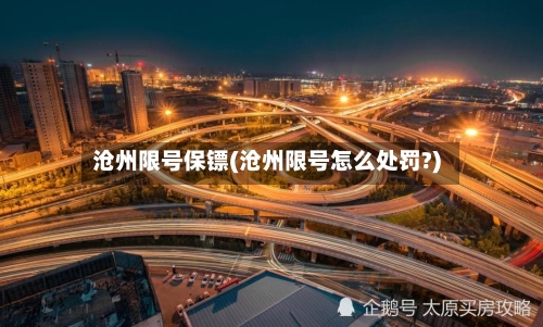 沧州限号保镖(沧州限号怎么处罚?)