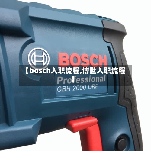 【bosch入职流程,博世入职流程】