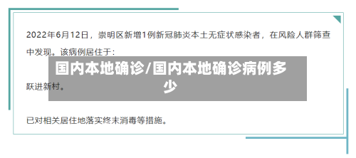 国内本地确诊/国内本地确诊病例多少