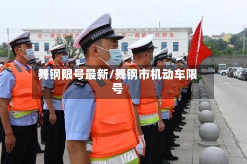 舞钢限号最新/舞钢市机动车限号