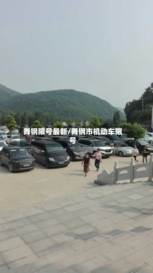 舞钢限号最新/舞钢市机动车限号
