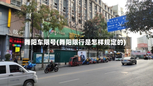 舞阳车限号(舞阳限行是怎样规定的)