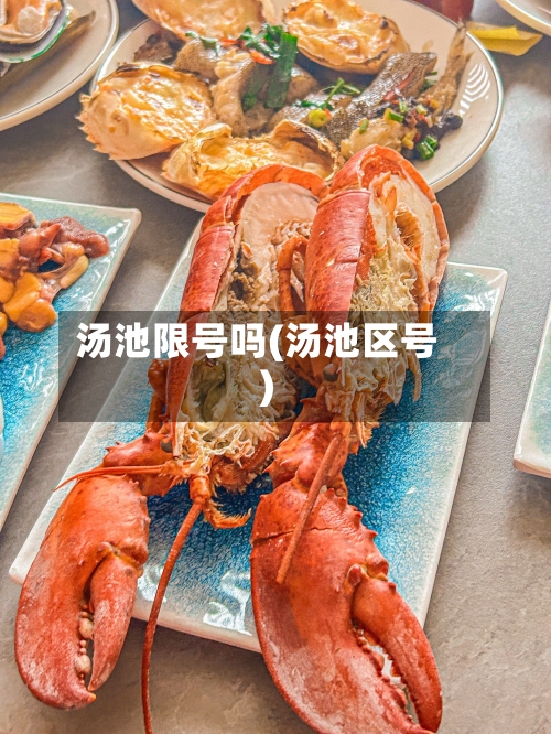 汤池限号吗(汤池区号)