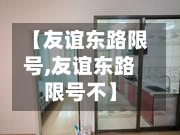【友谊东路限号,友谊东路限号不】